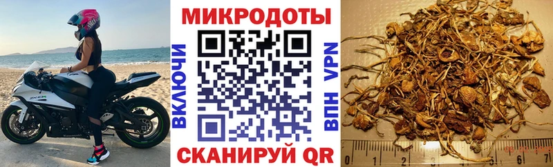 Псилоцибиновые грибы Cubensis Великий Устюг
